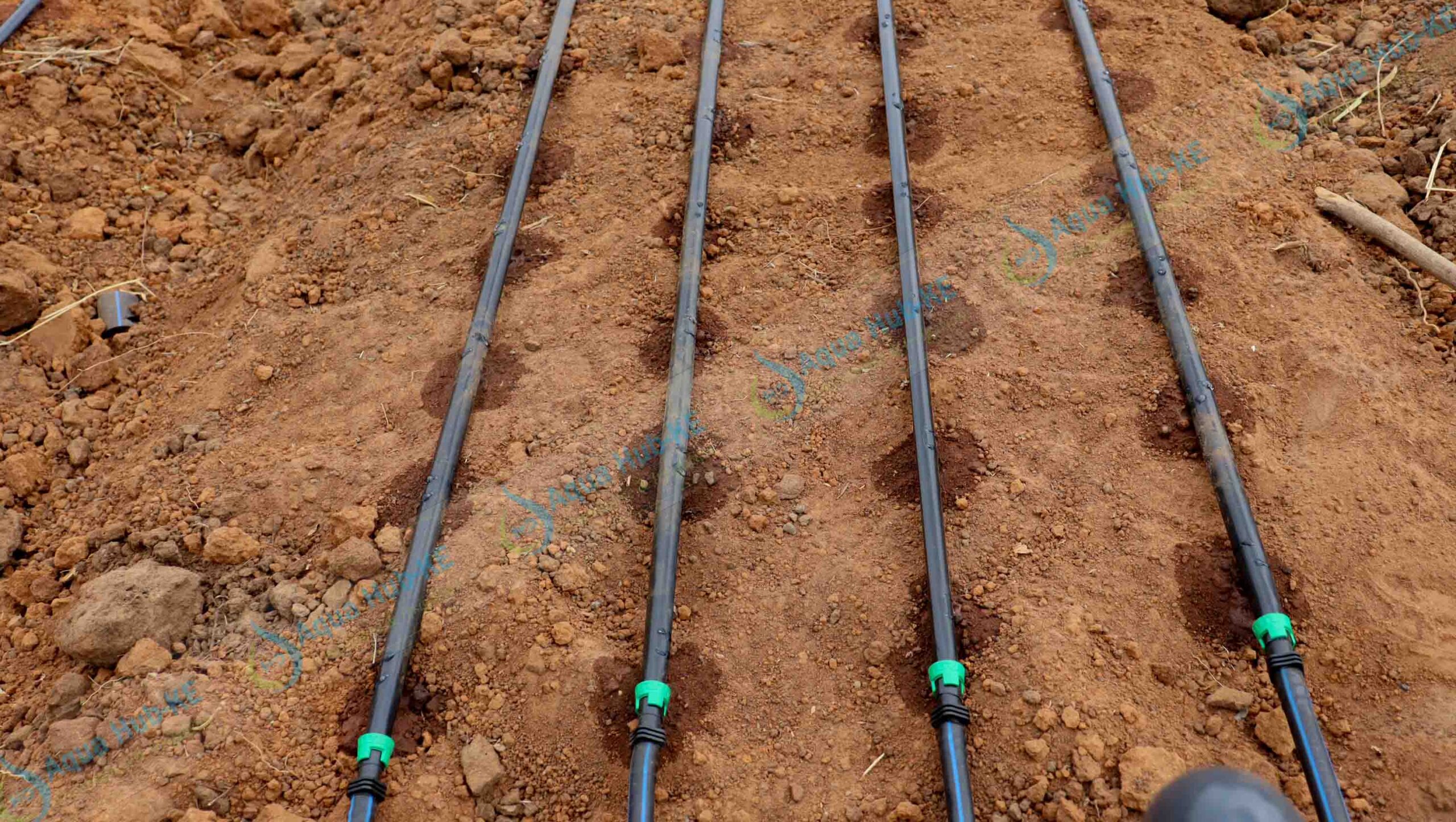 Irrigation Solutions in Kenya