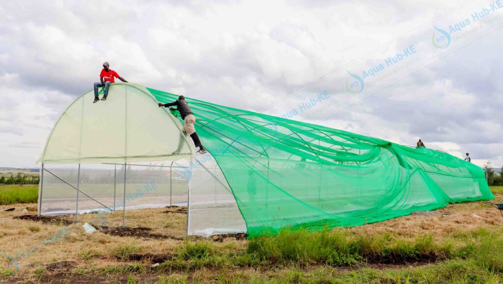 Greenhouse Installation in Kenya