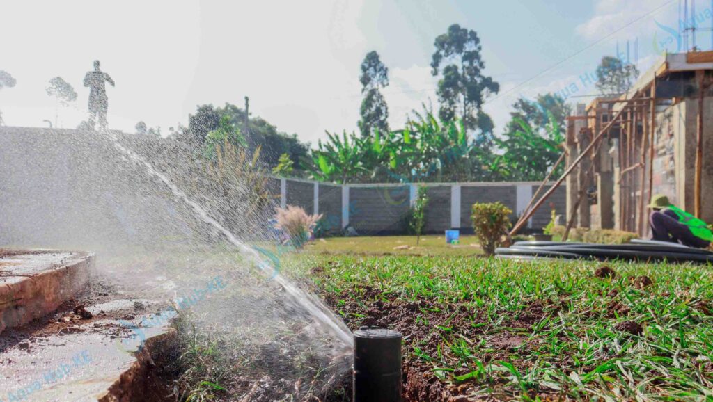 Pop-up Sprinkler Heads