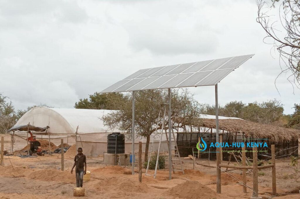 Solar Irrigation Kits in Kenya