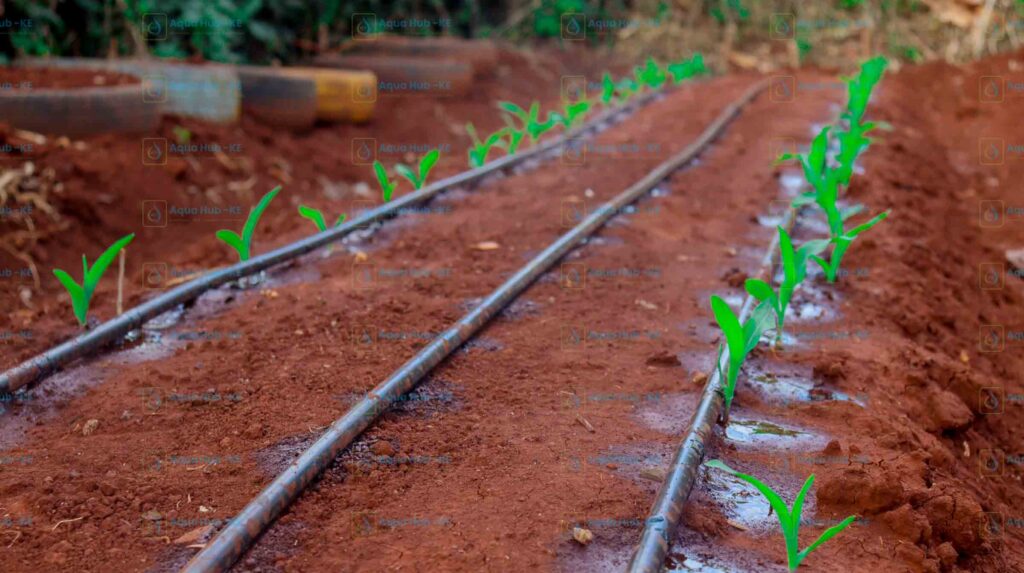 benefits of drip irrigation