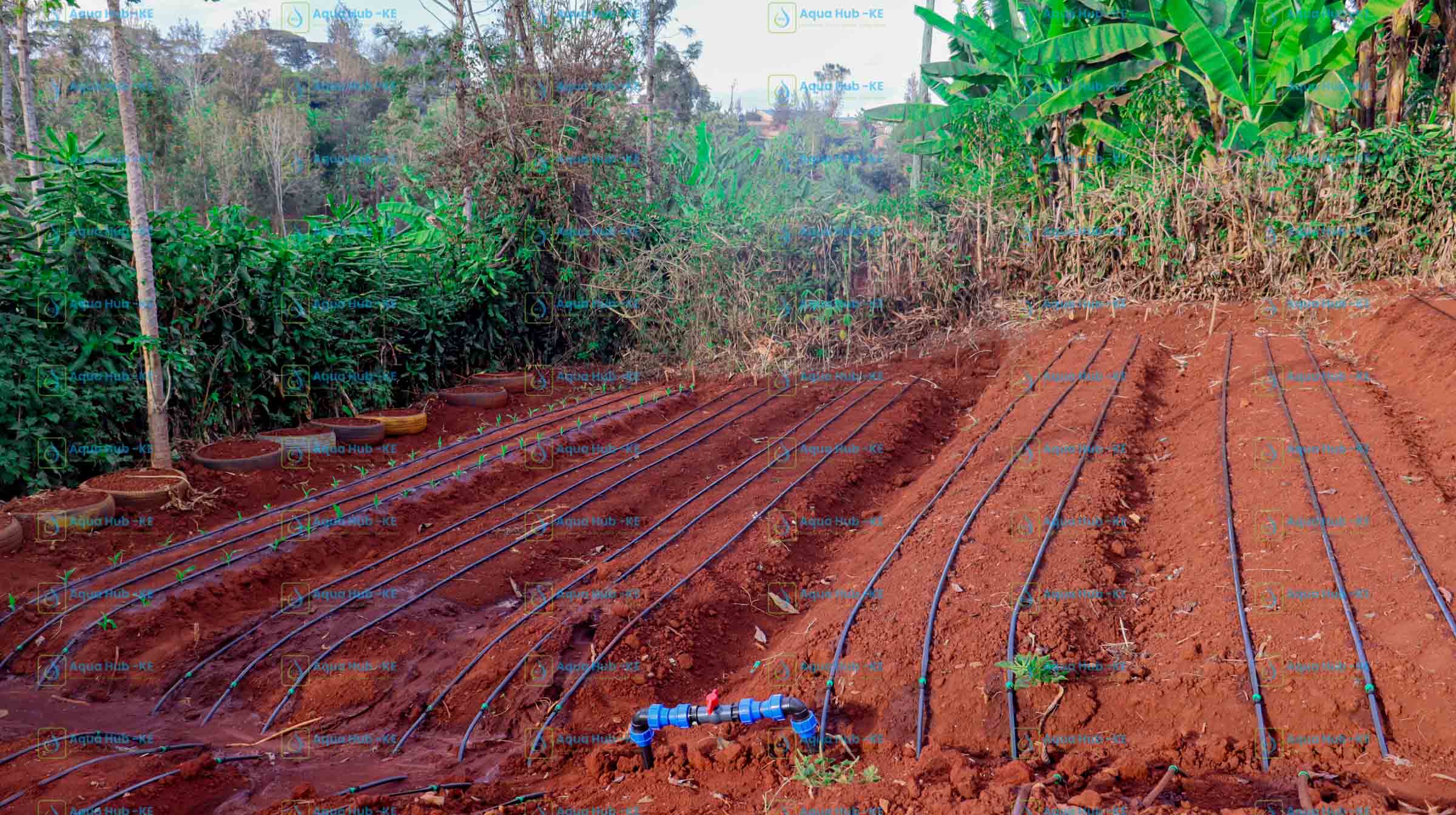 benefits of drip irrigation