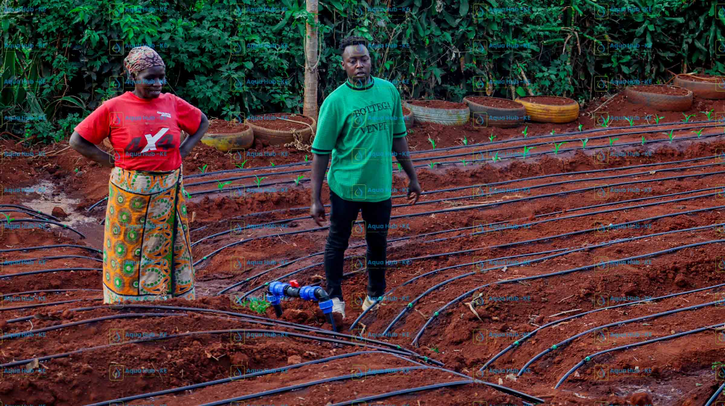 benefits of drip irrigation