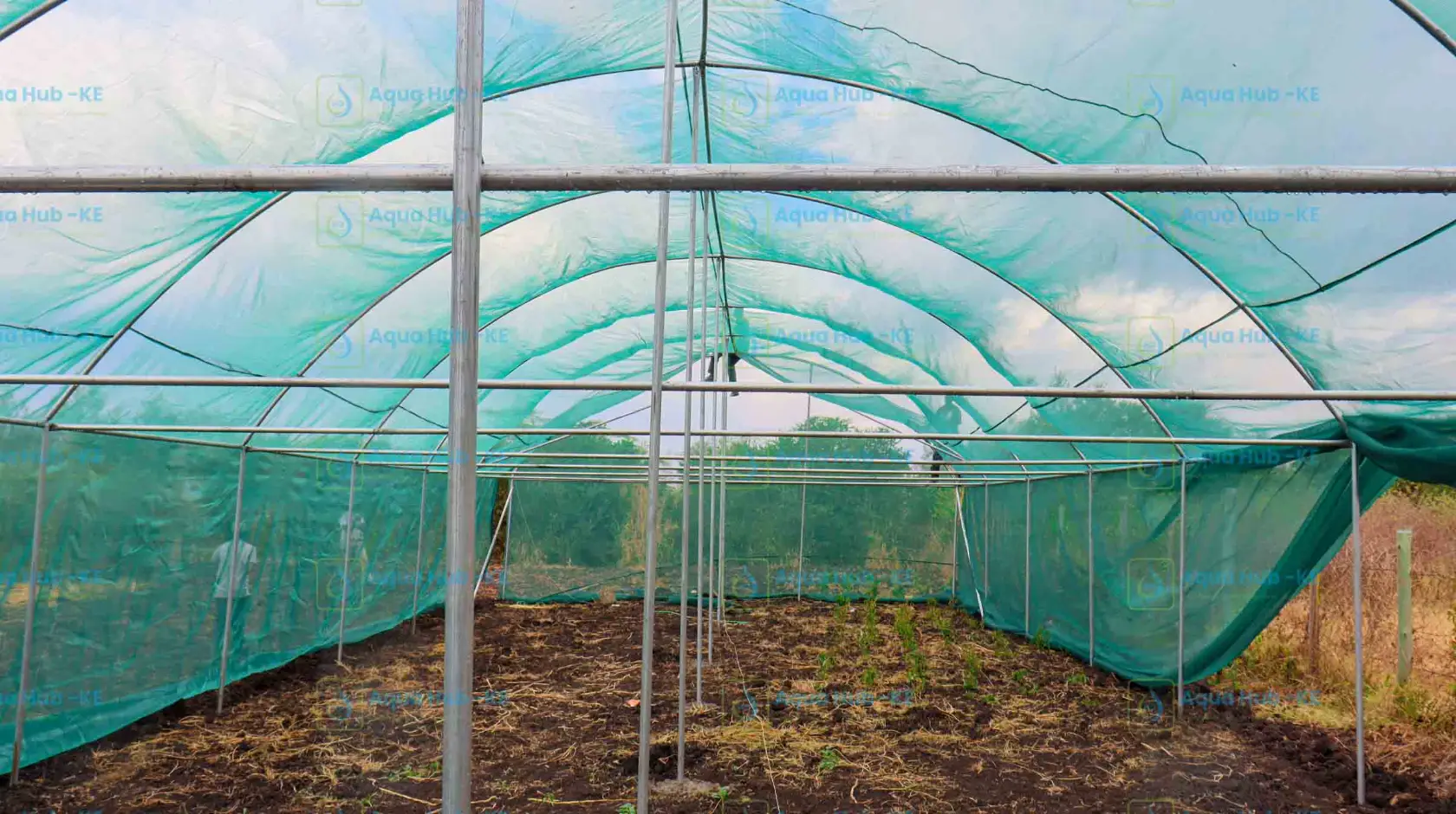 Shade Net Cost in Kenya