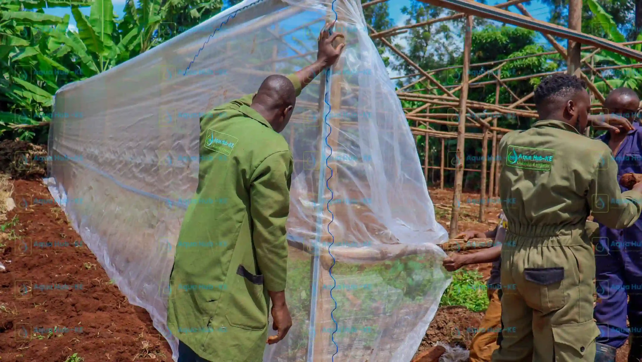 Insect Nets for Agriculture