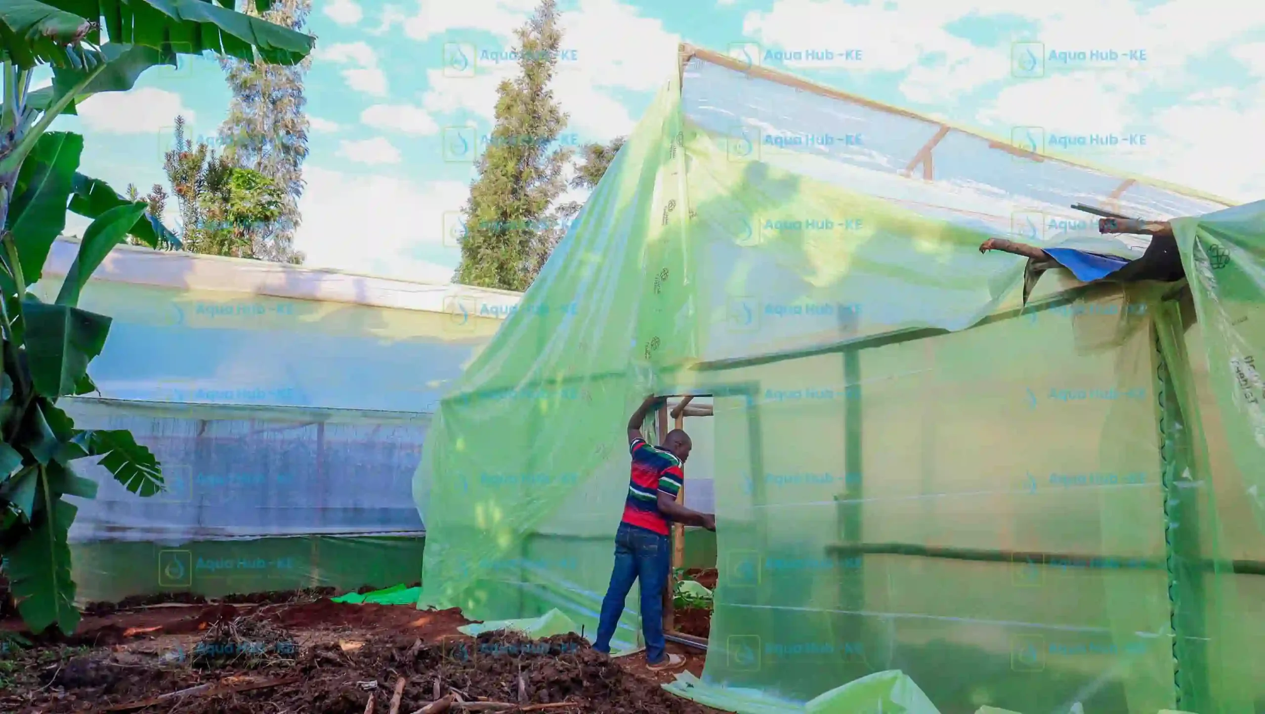 Buy Quality Greenhouse Polythene Cover