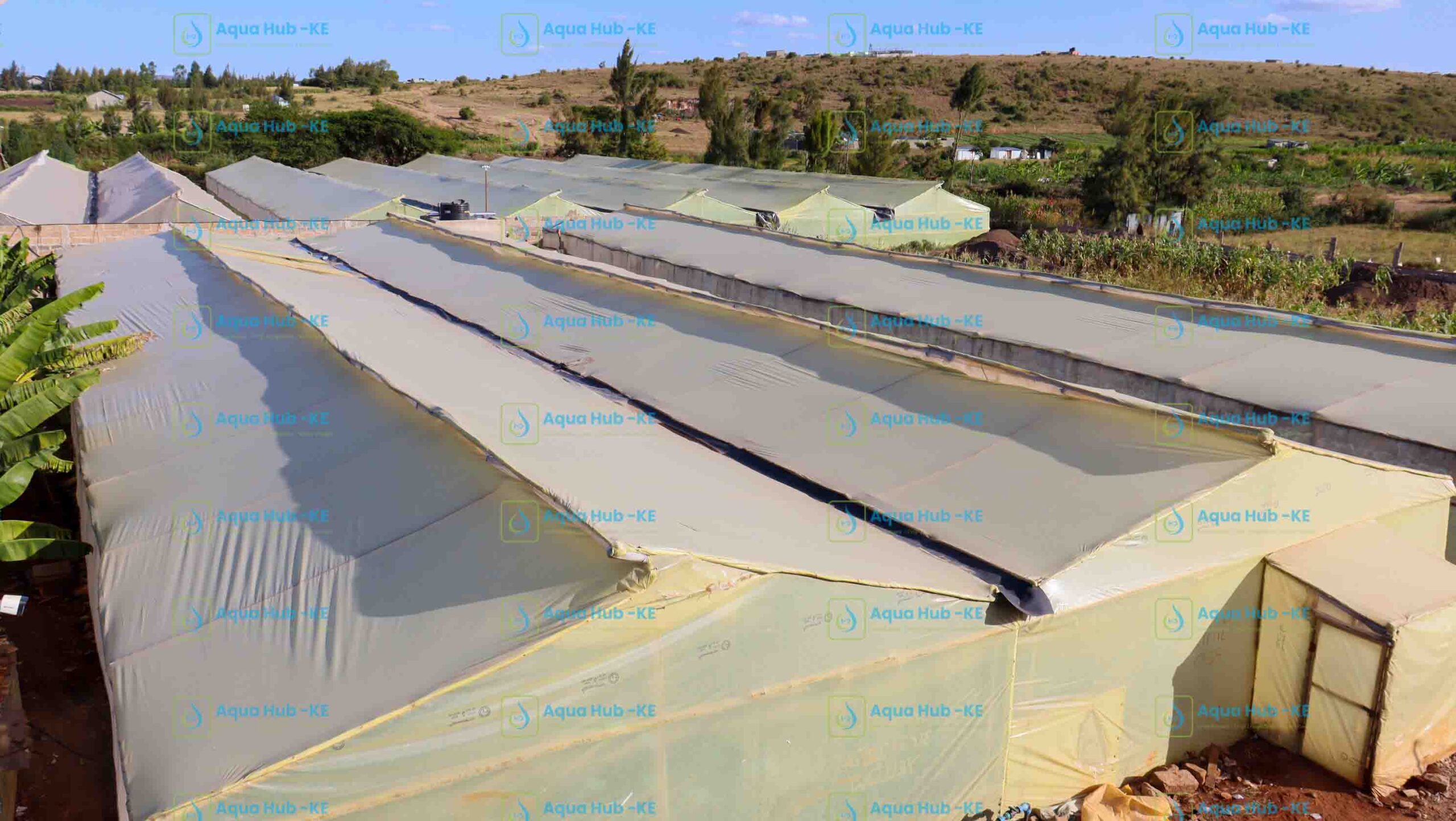 Buy Quality Greenhouse Polythene Cover
