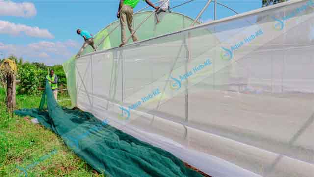 Insect Nets for Agriculture
