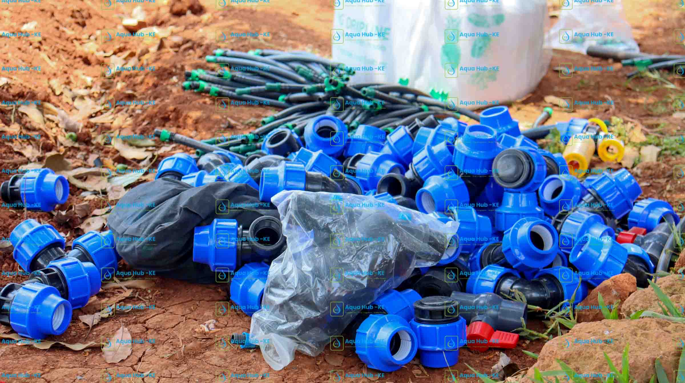 Watermelon Farming in Kenya