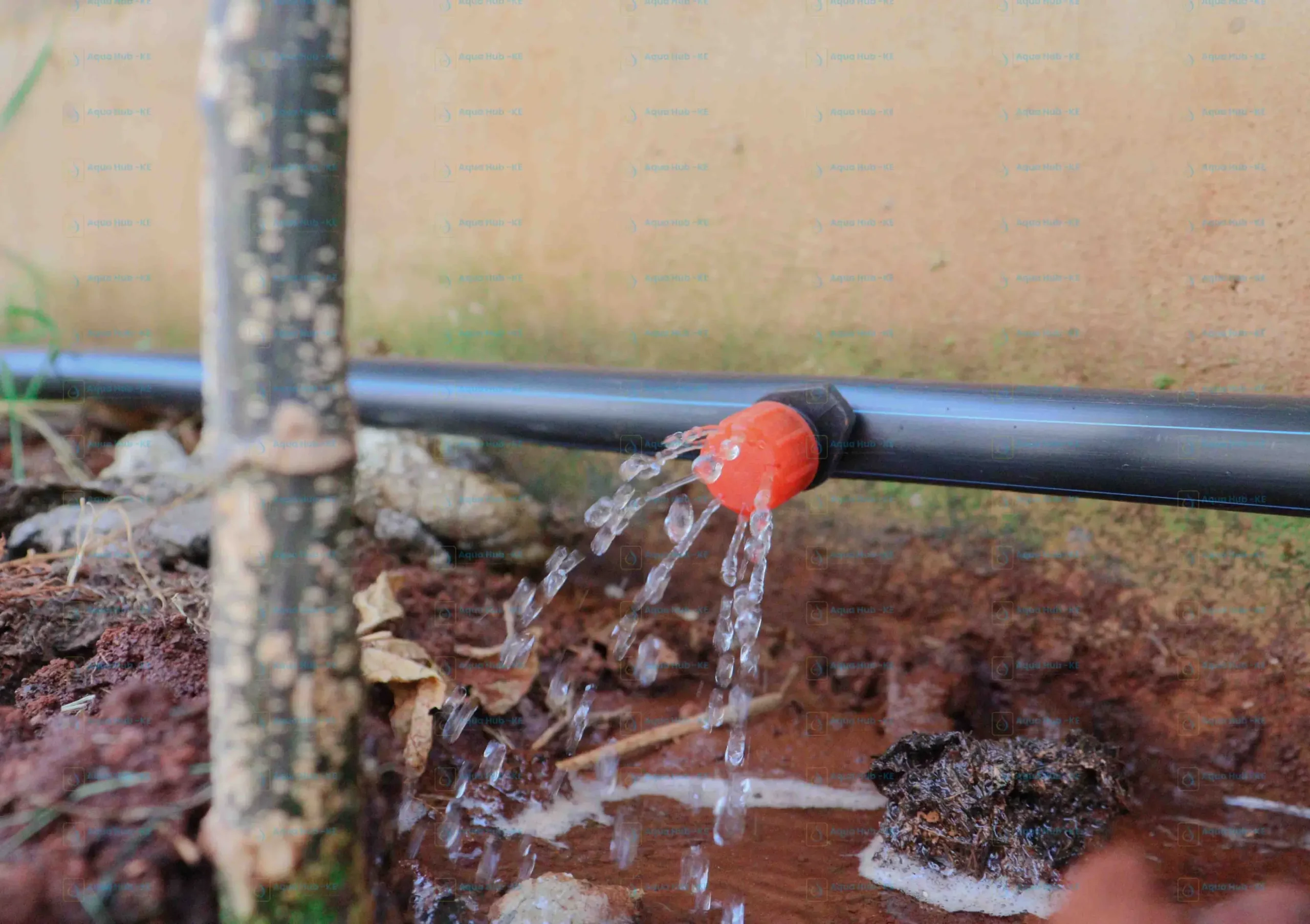 Button Drippers Irrigation in Kenya