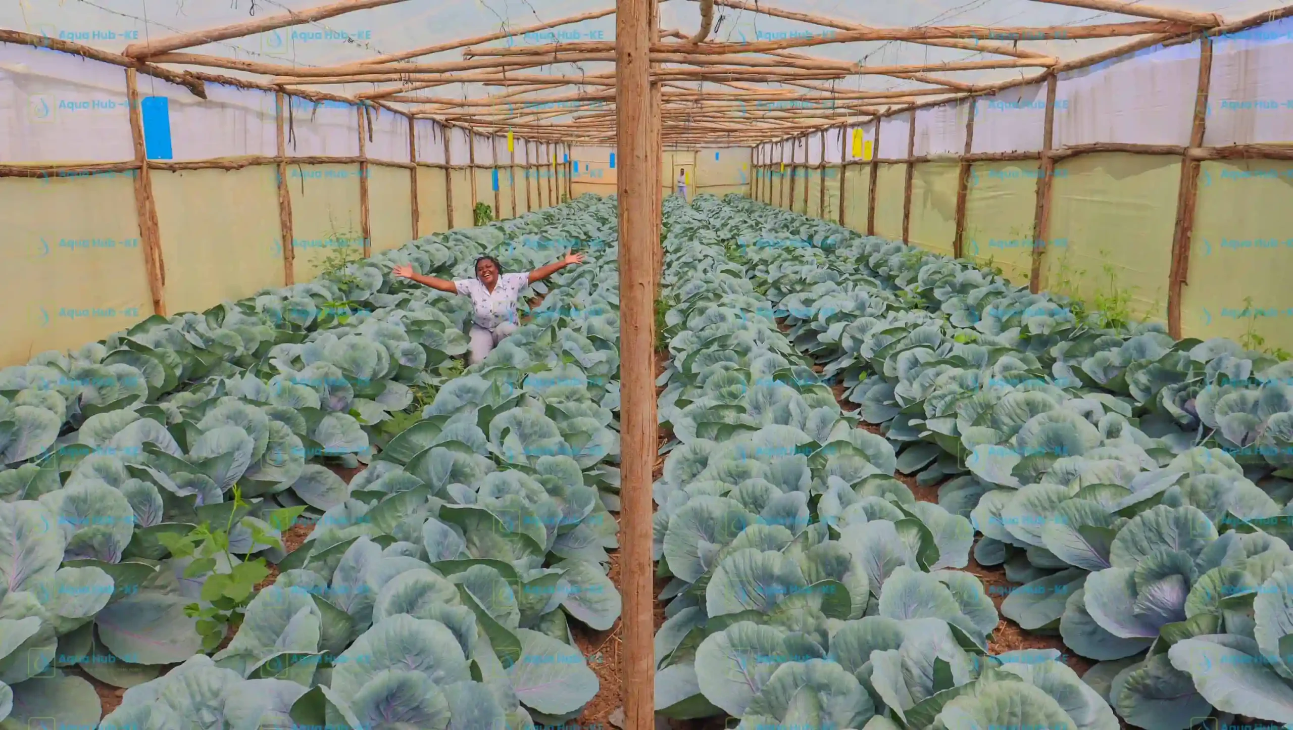 affordable greenhouses