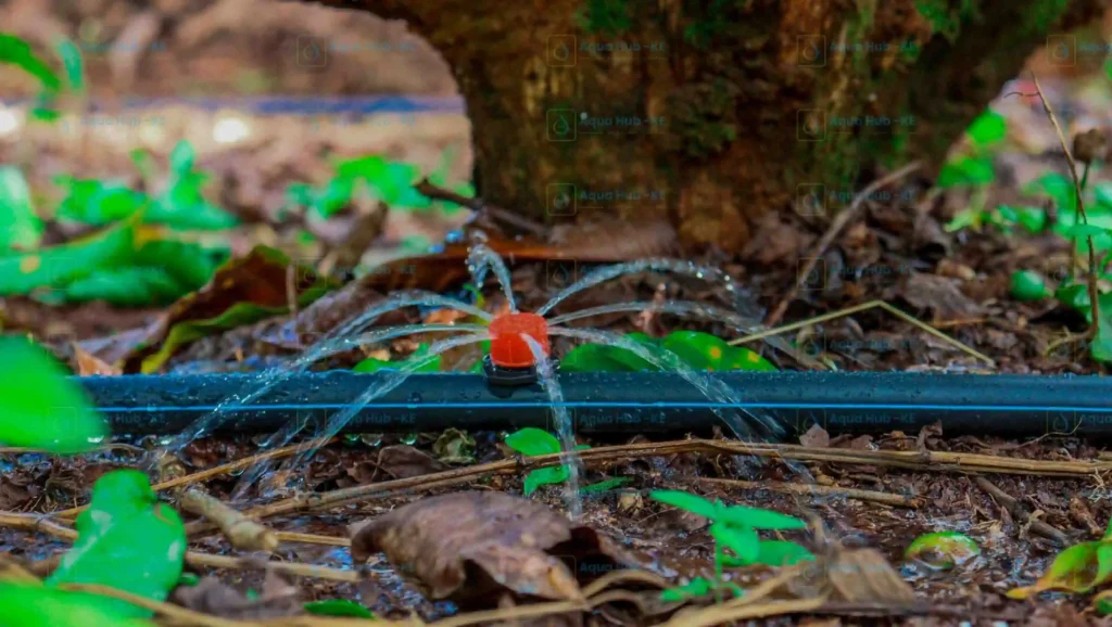 Button Drippers Irrigation in Kenya