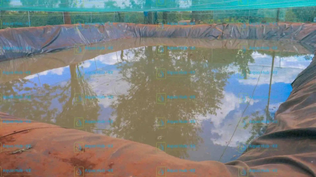 Dam liners for Water Harvesting in Kenya