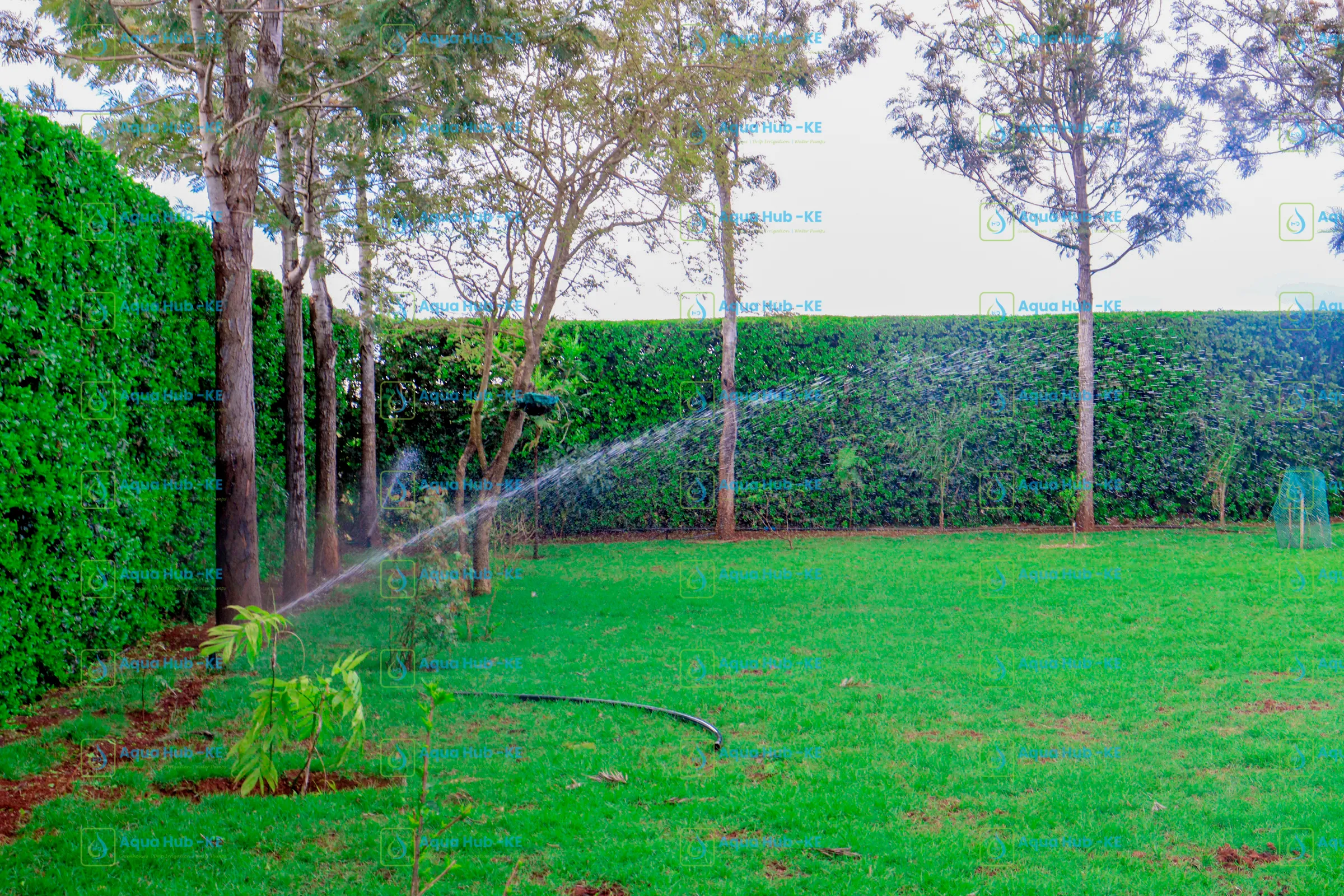 Pop-up Sprinklers for Sale in Kenya