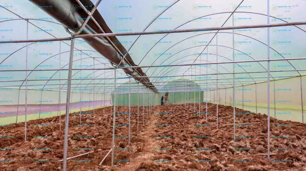 Valentine's Day Gift Idea: Buy a greenhouse for your partner