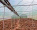 Valentine's Day Gift Idea: Buy a greenhouse for your partner