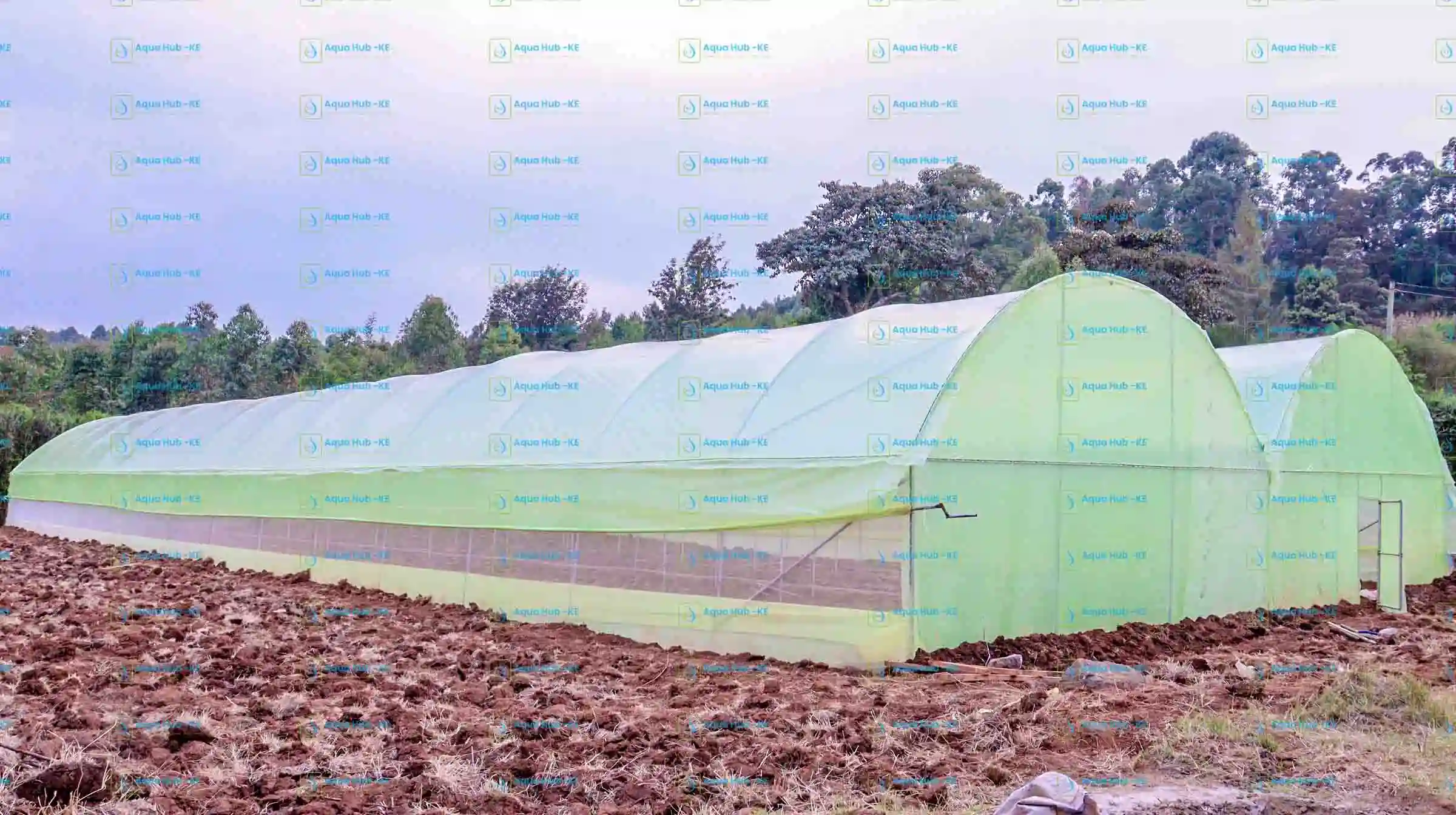 Valentine's Day Gift