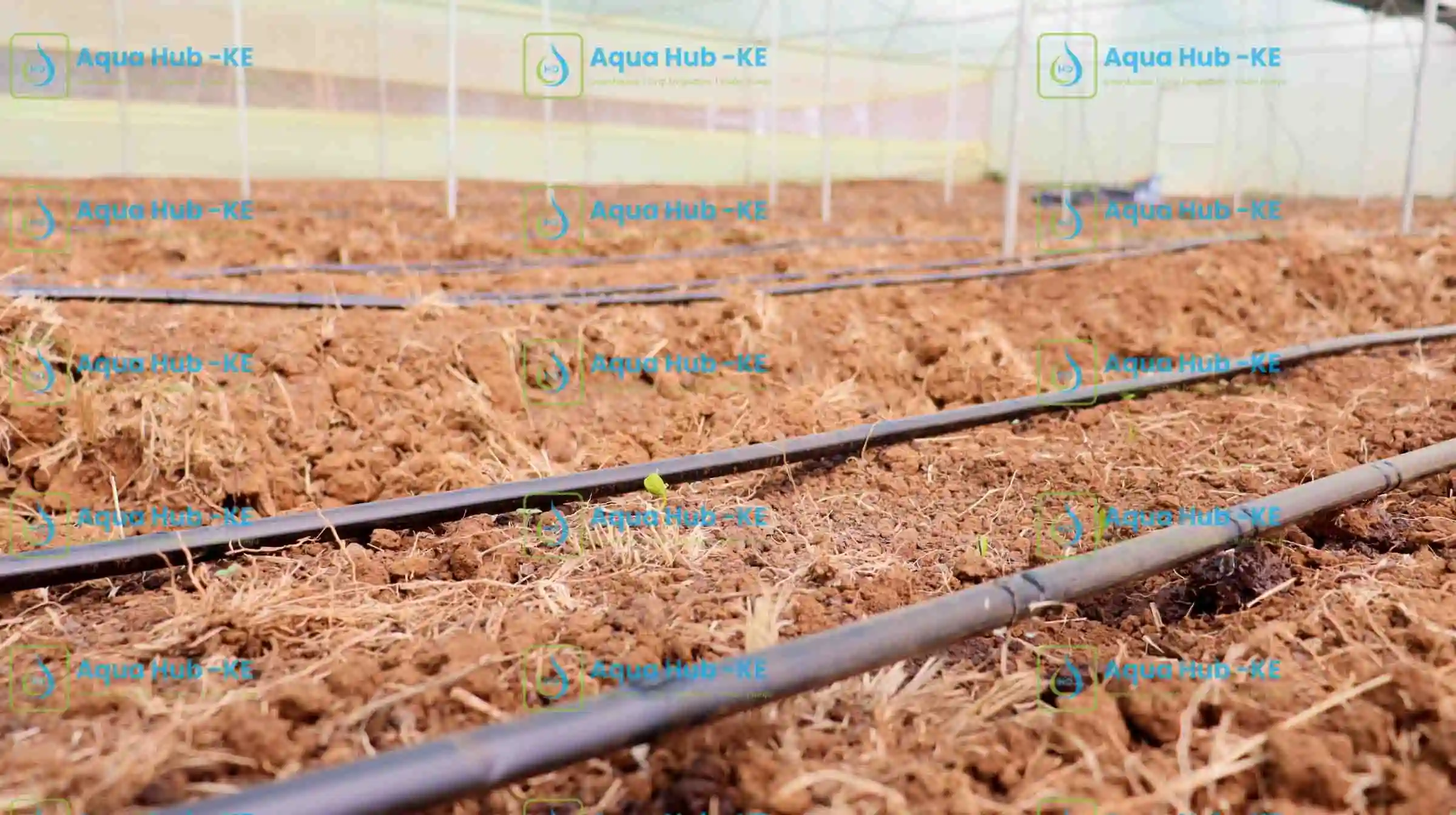 Dripline roll for Sale in Kenya