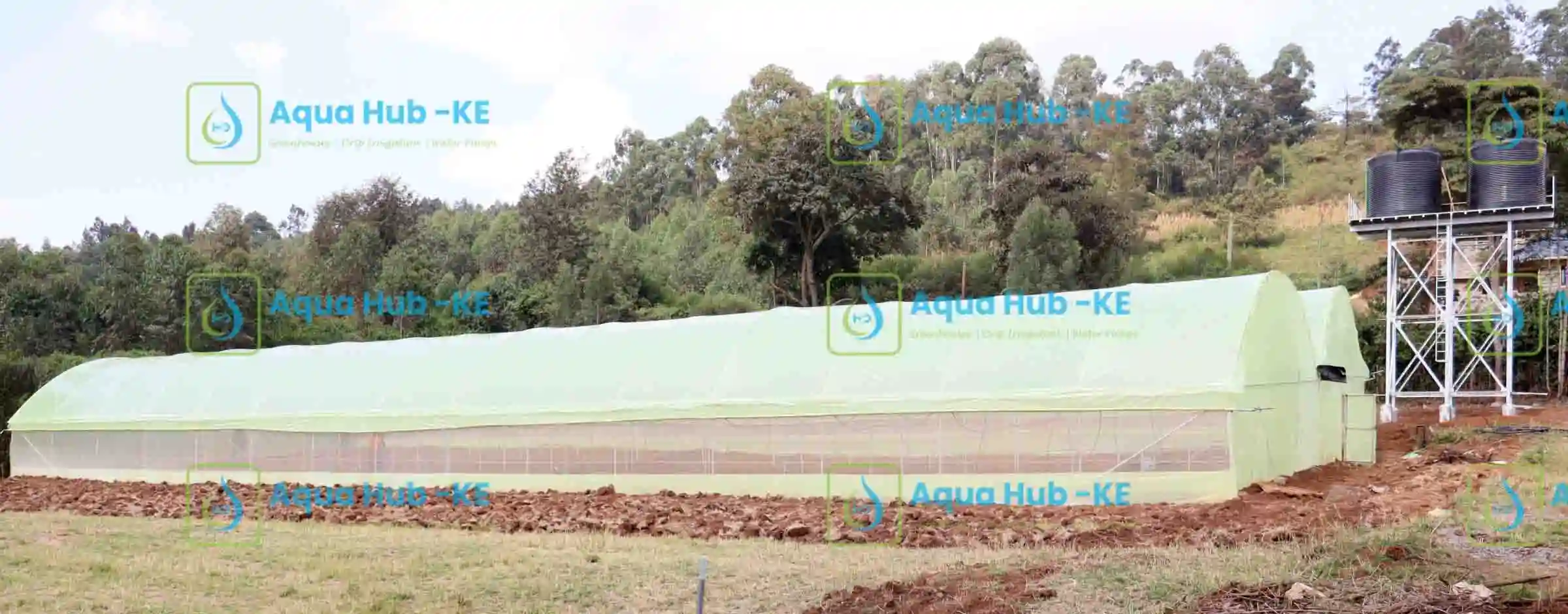 Valentine's Day Gift