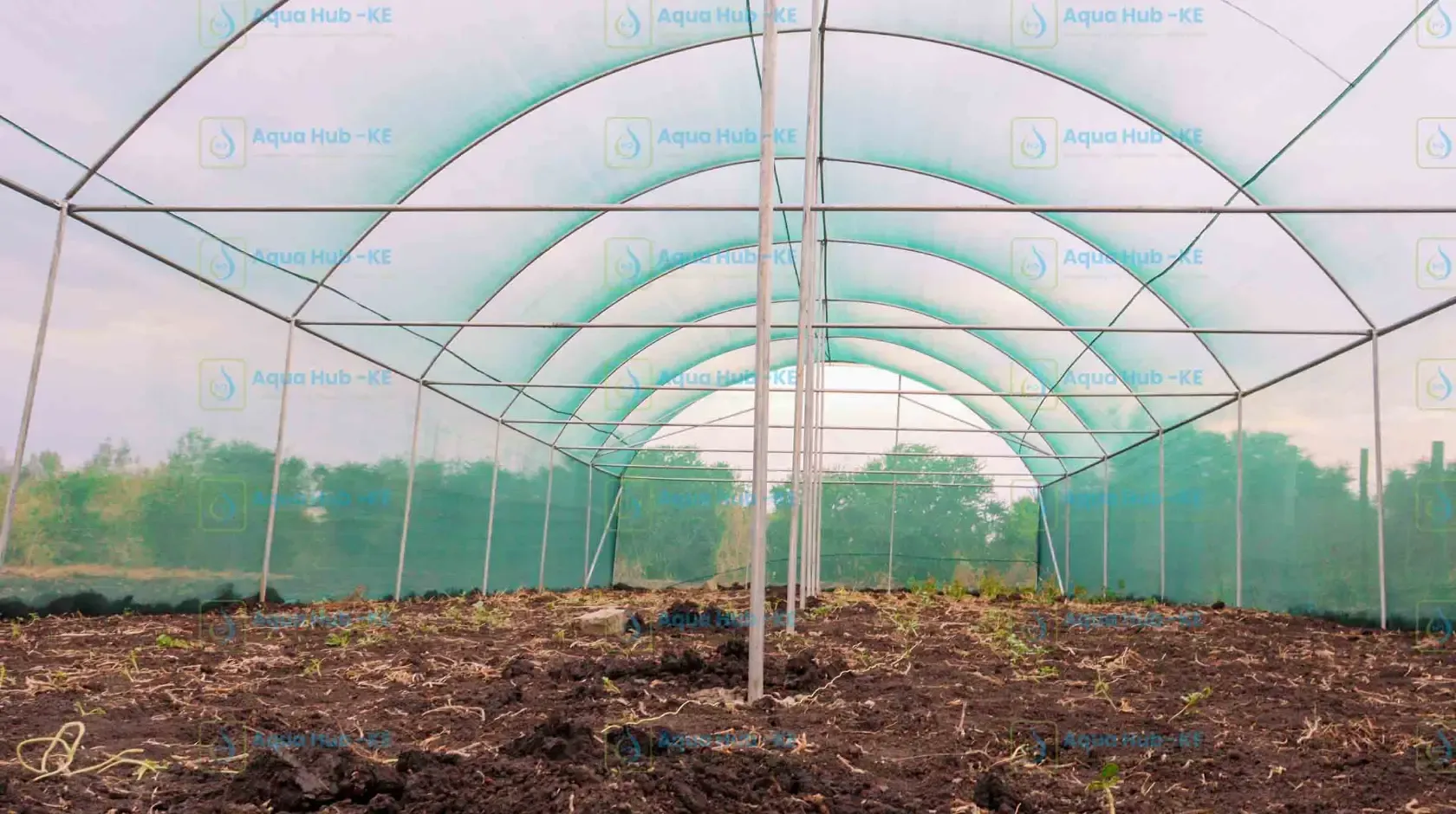Cost of Shade Nets in Kenya