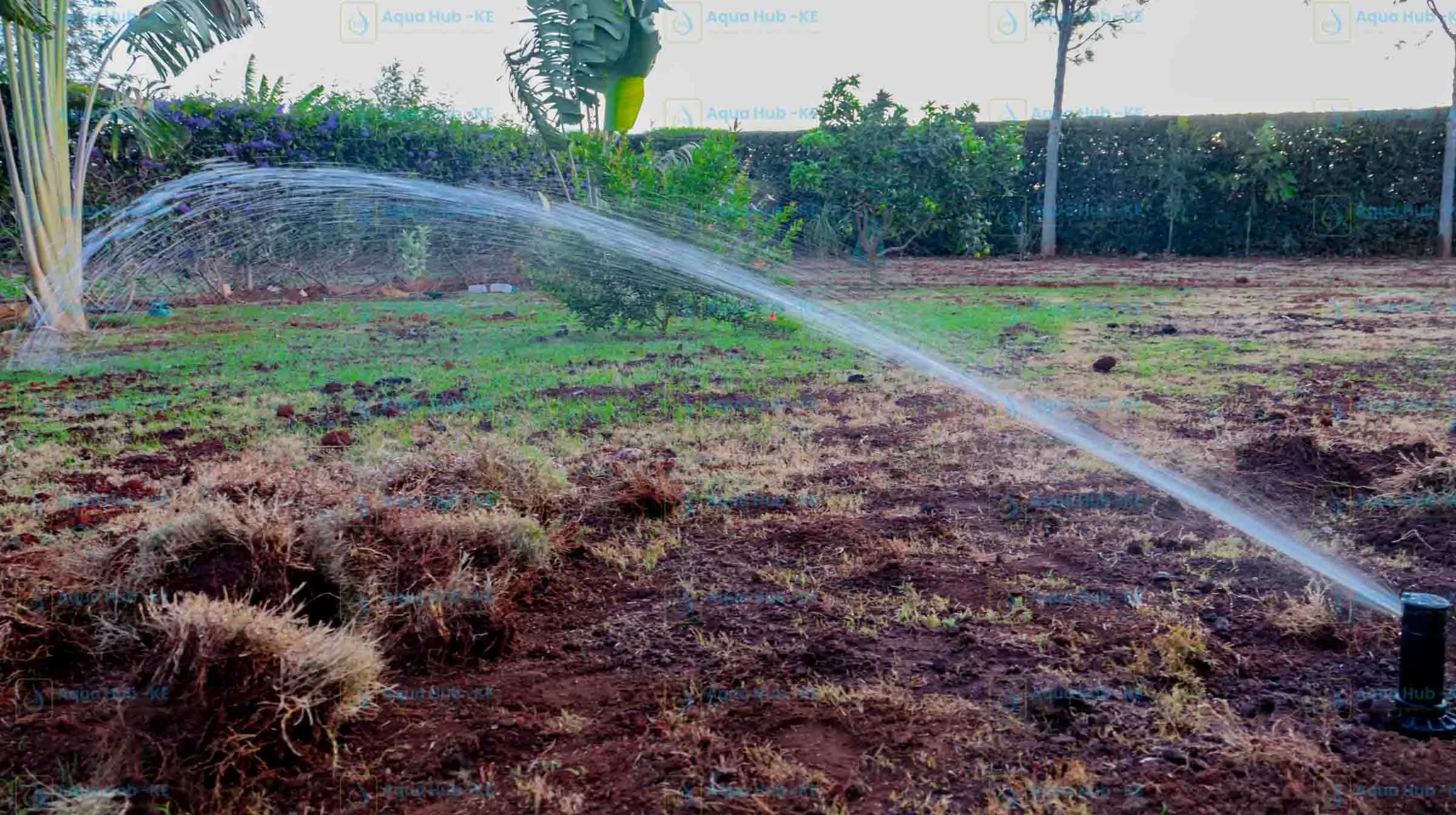 Lawn sprinkler prices in Kenya