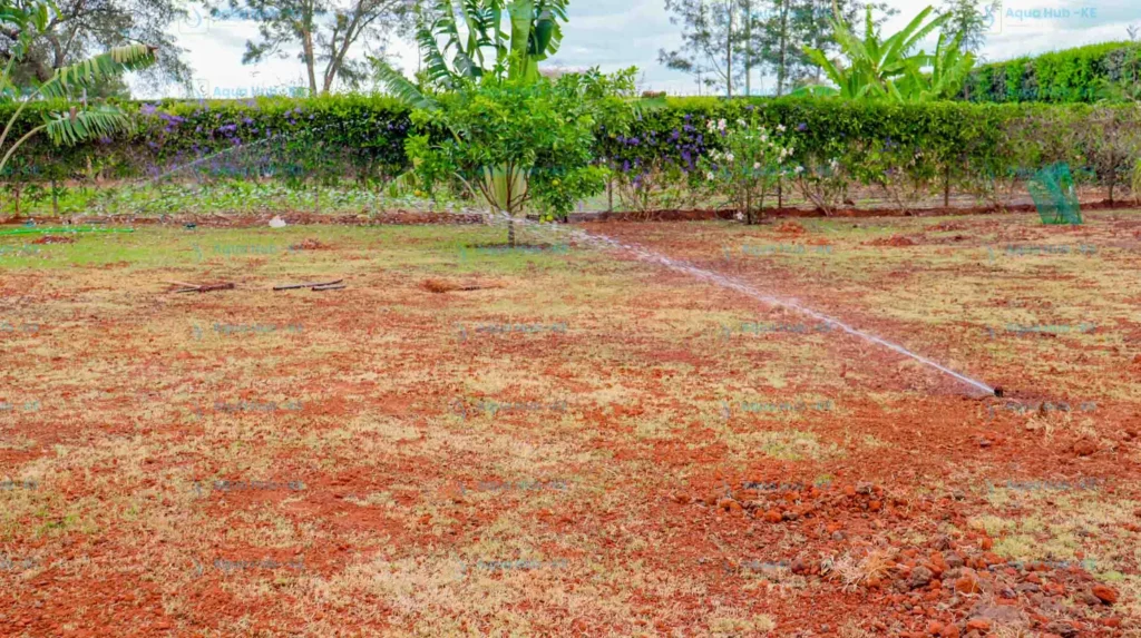 Lawn sprinkler prices in Kenya