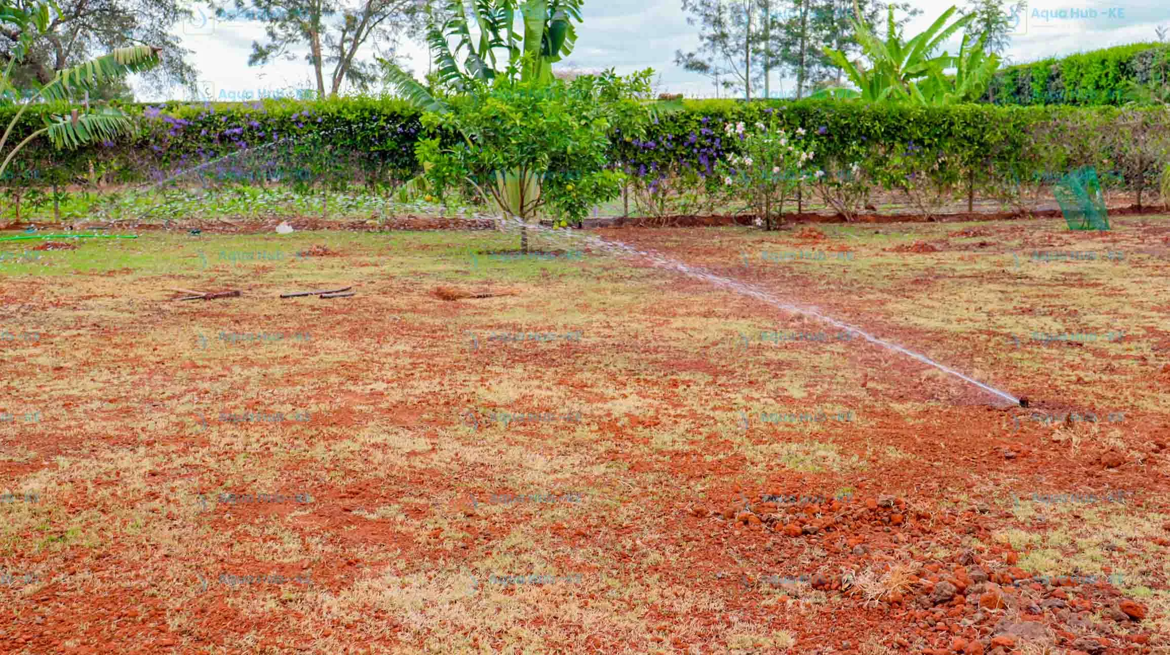 Lawn sprinkler prices in Kenya