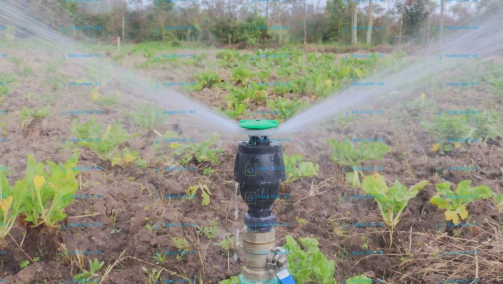 Meganet Sprinkler in Kenya