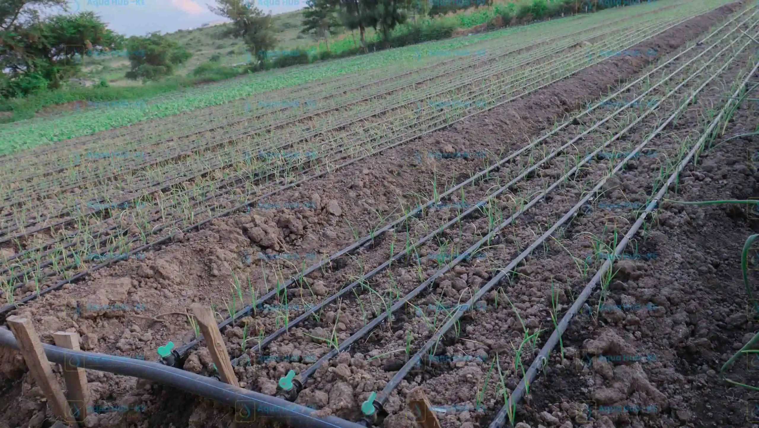 Drip Irrigation Kit for 1 acre