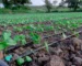 Drip Irrigation Kit for 1 acre
