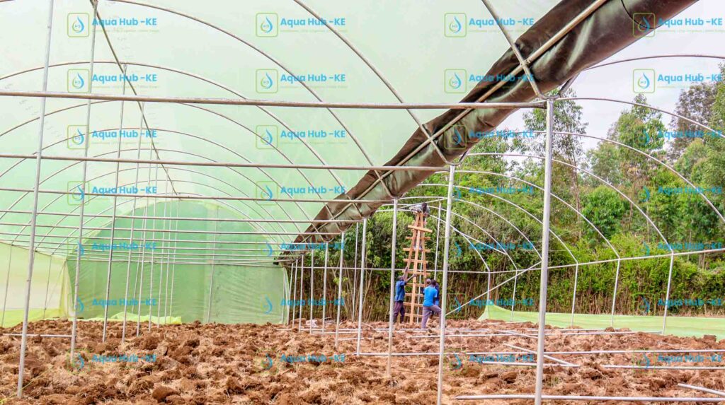 Greenhouse construction in Kenya