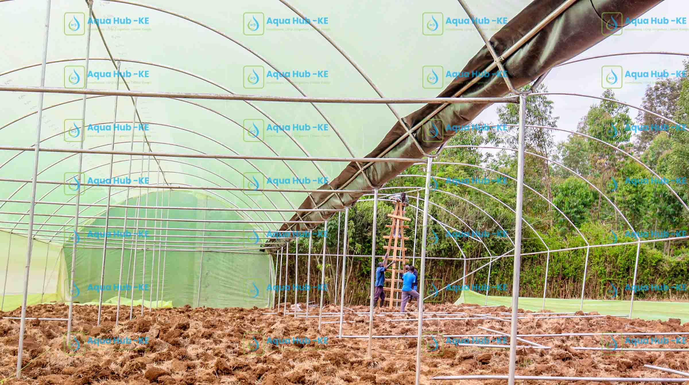 Greenhouse construction in Kenya
