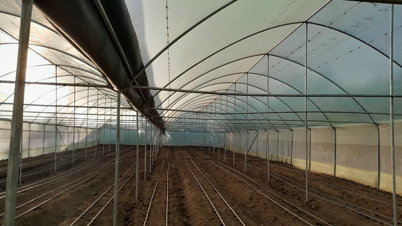 Greenhouse farming technology