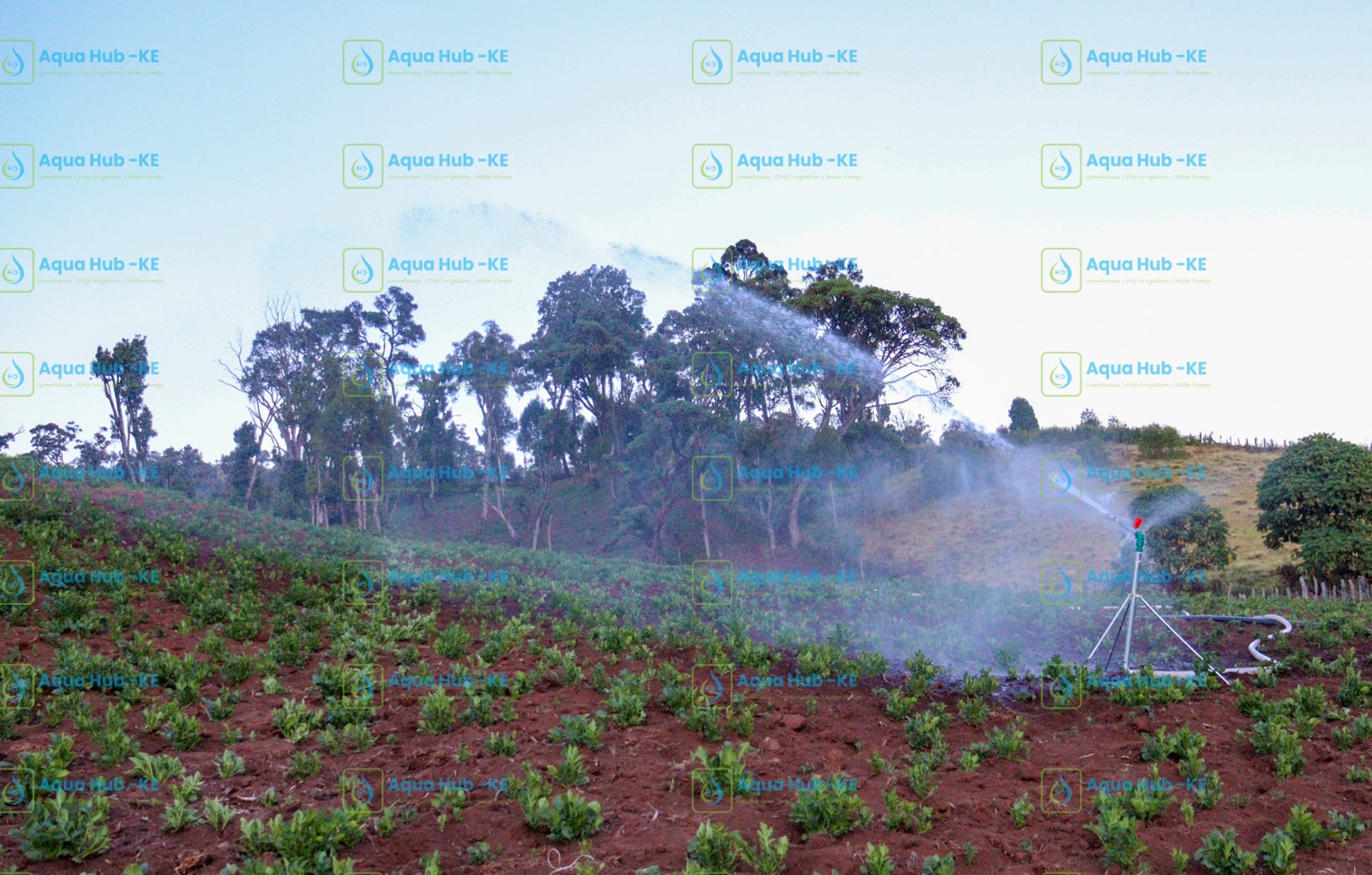 Sprinkler accessories in Kenya