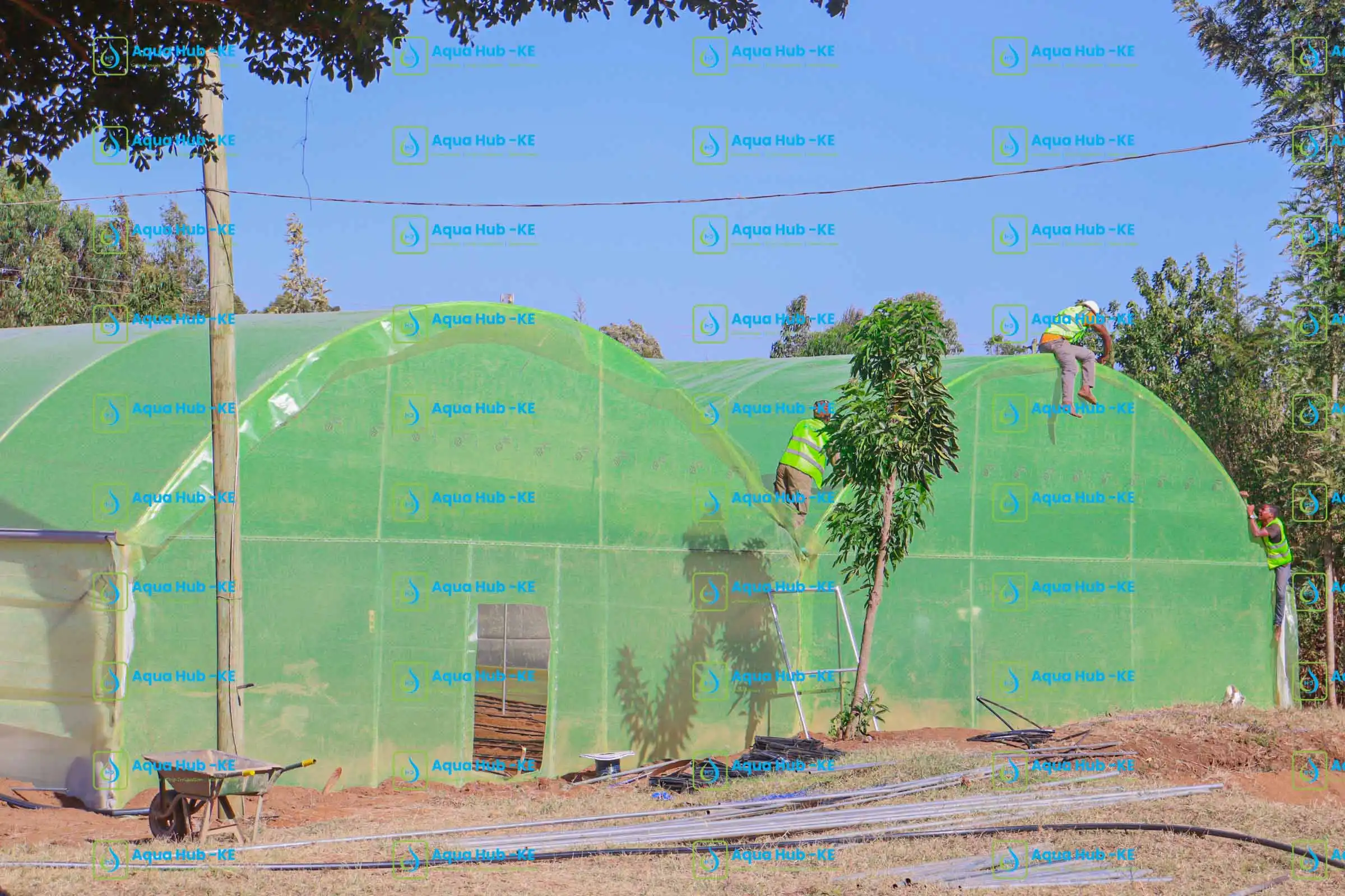 Greenhouse Construction Company in Kenya