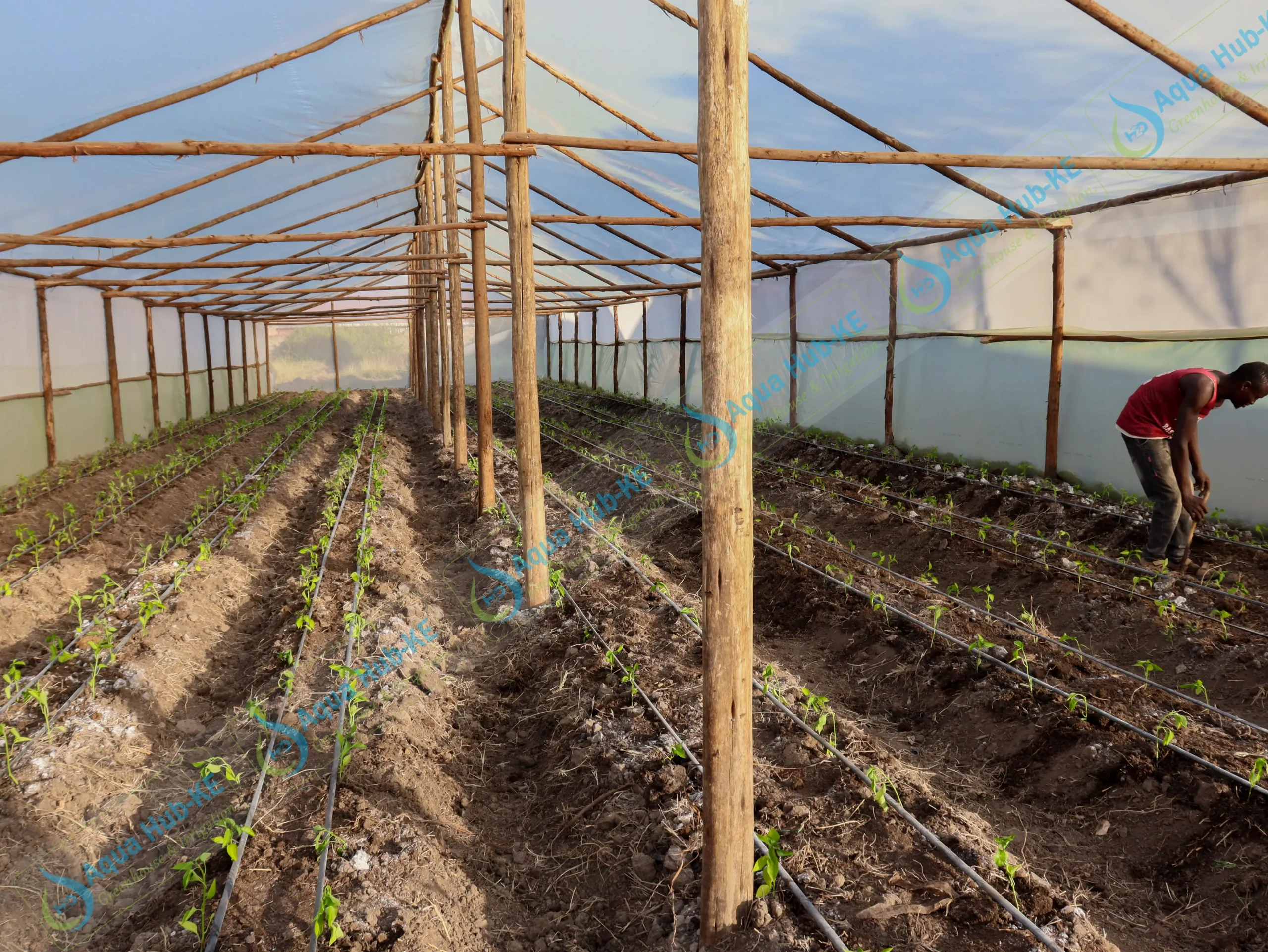 drip kits for small Scale farmers in Kenya