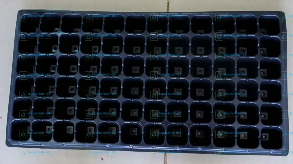 agricultural seedling trays in Kenya