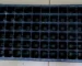 agricultural seedling trays in Kenya