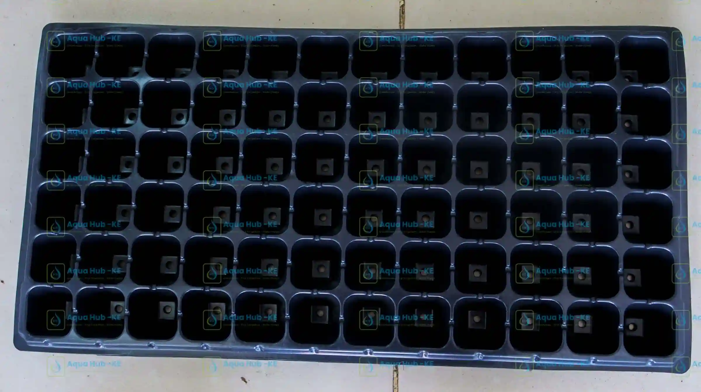 agricultural seedling trays in Kenya