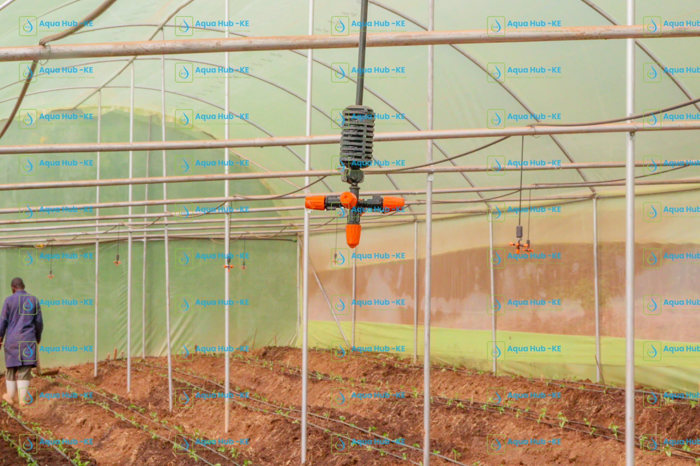 Greenhouse Misting System in Kenya
