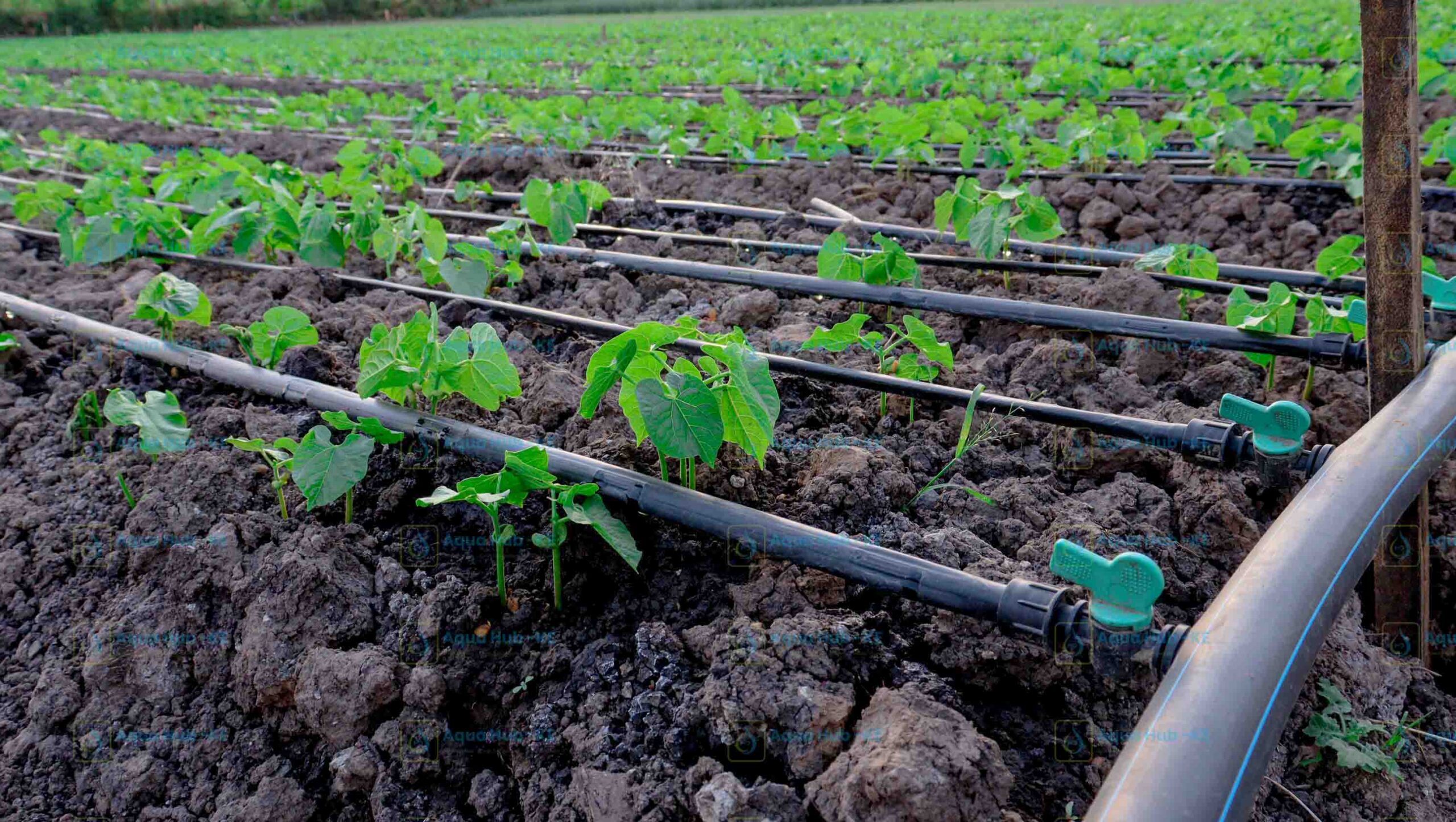 irrigation system installation in kenya
