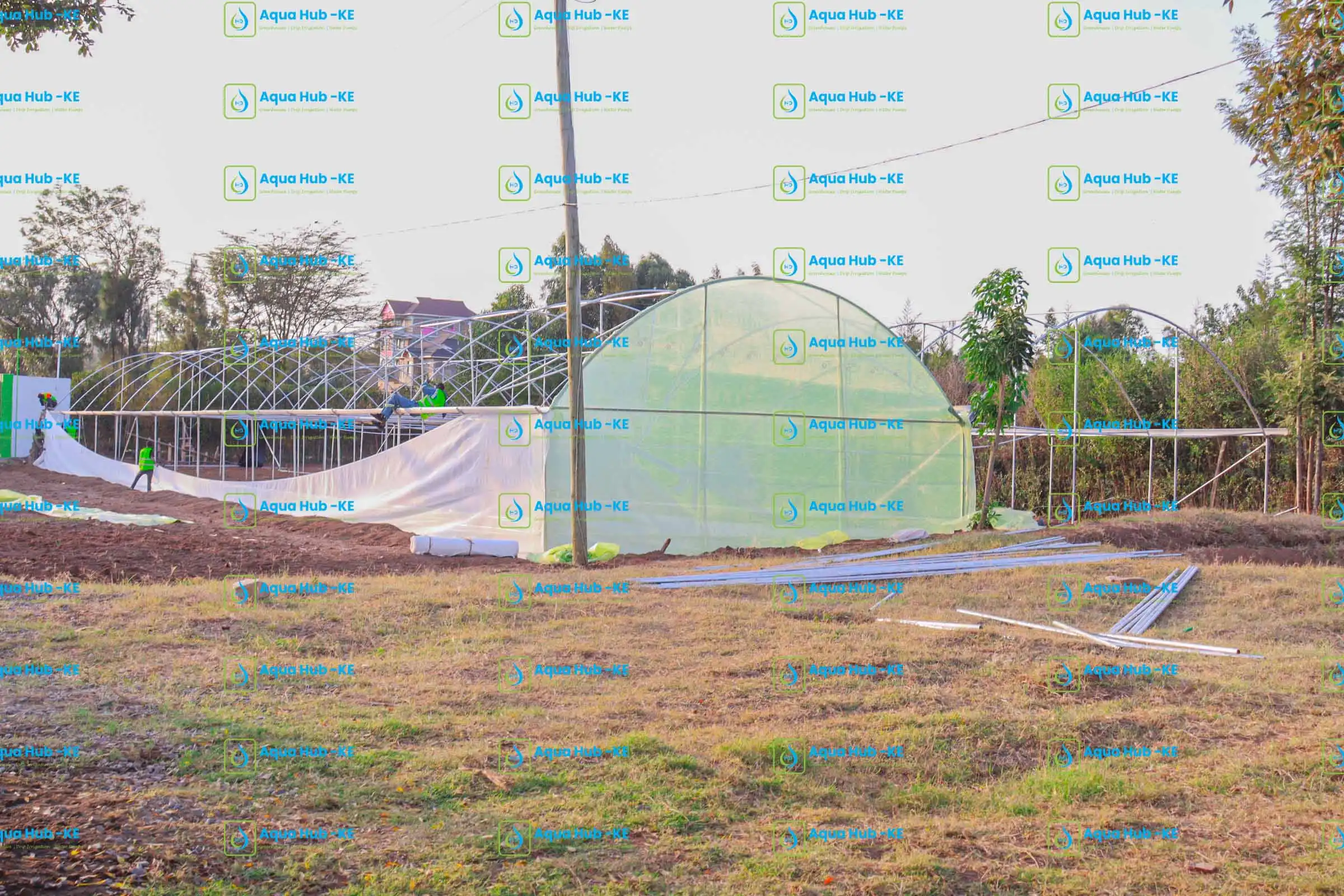 Greenhouse Construction Company in Kenya