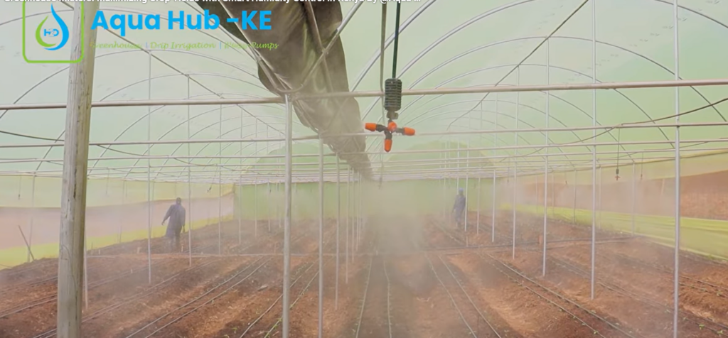 Greenhouse Misting System in Kenya