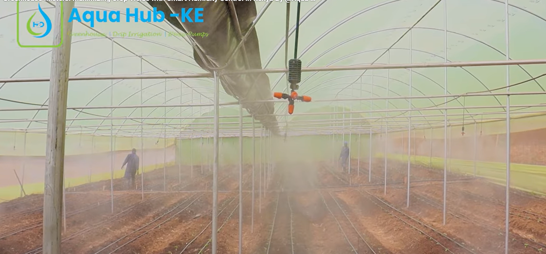 Greenhouse Misting System in Kenya