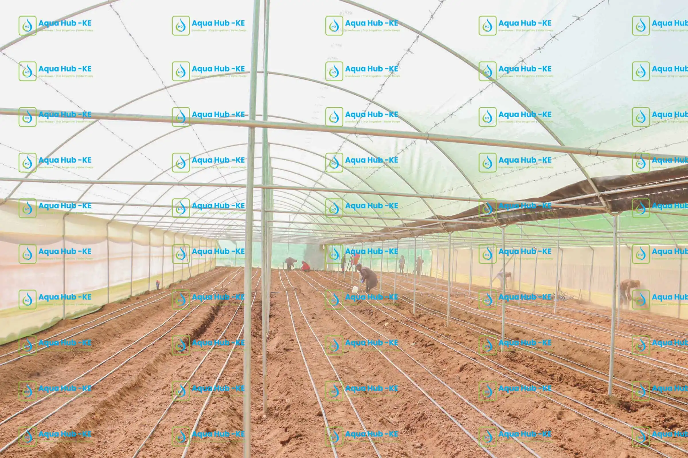 types and cost of greenhouses in Kenya