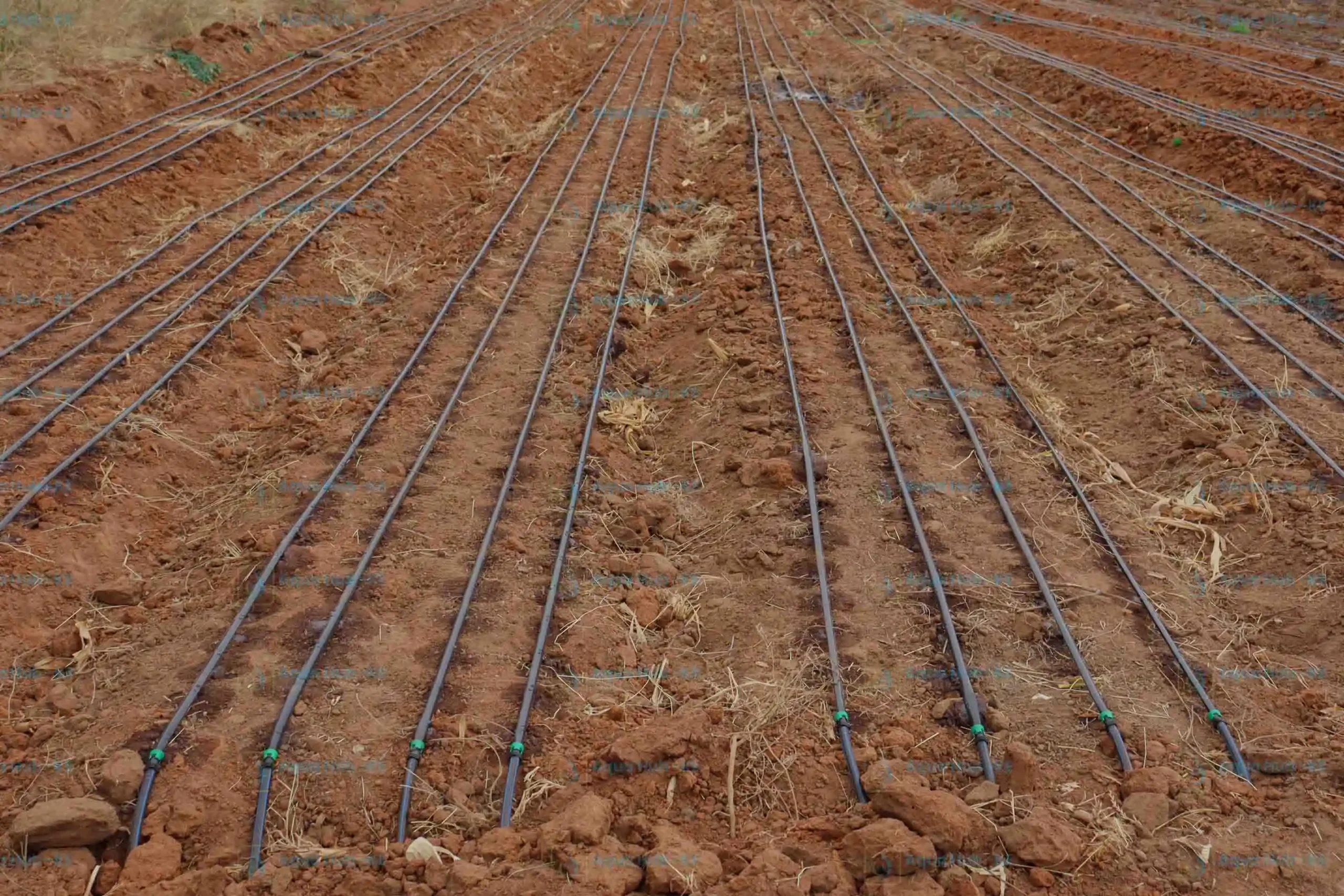 Drip Irrigation Companies in Kenya