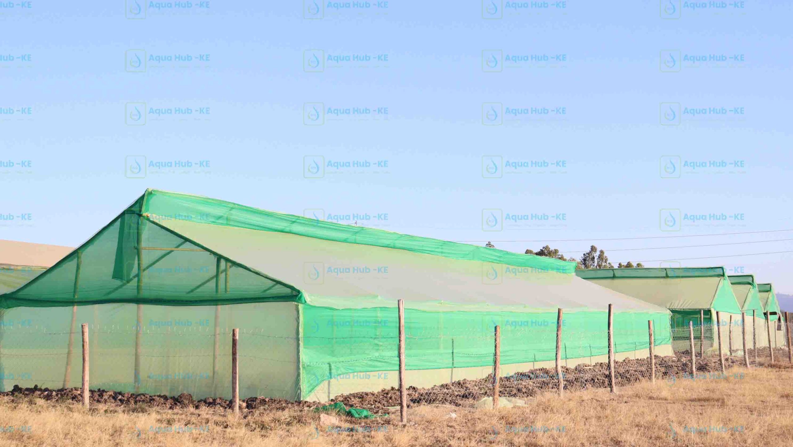 Choosing Greenhouse Sizes