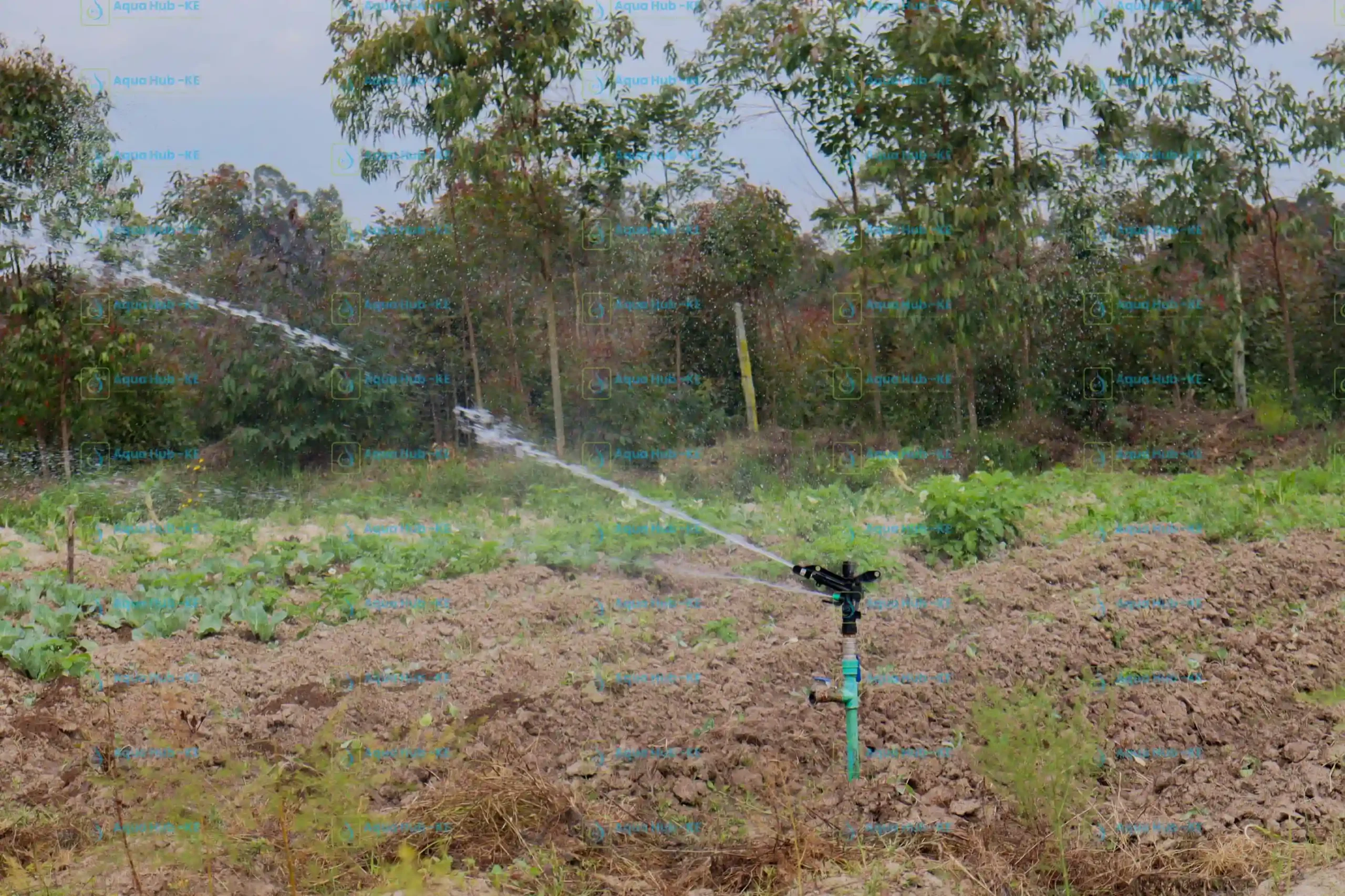 impact sprinkler prices