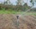 Sprinklers for Sale in Kenya