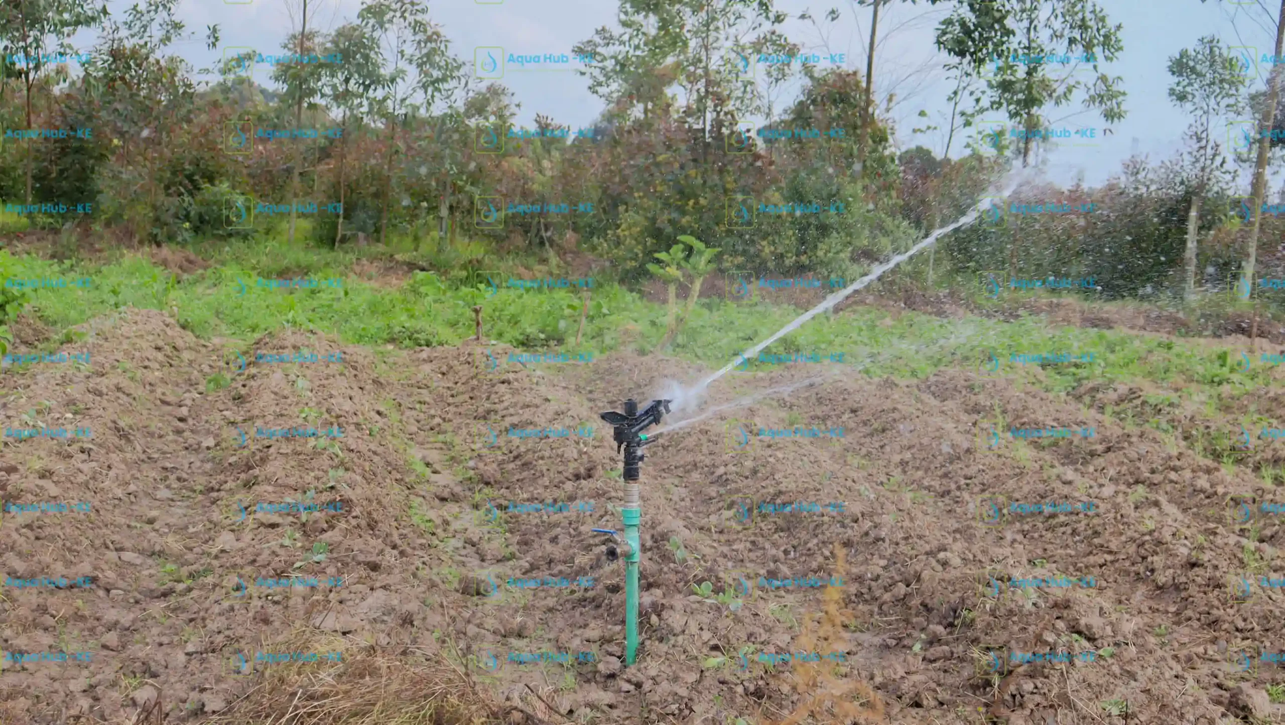 Sprinklers for Sale in Kenya